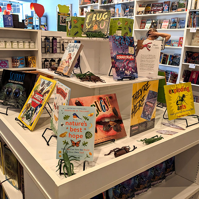 Cicadapocalypse on display at Bookie's bookstore in Chicago