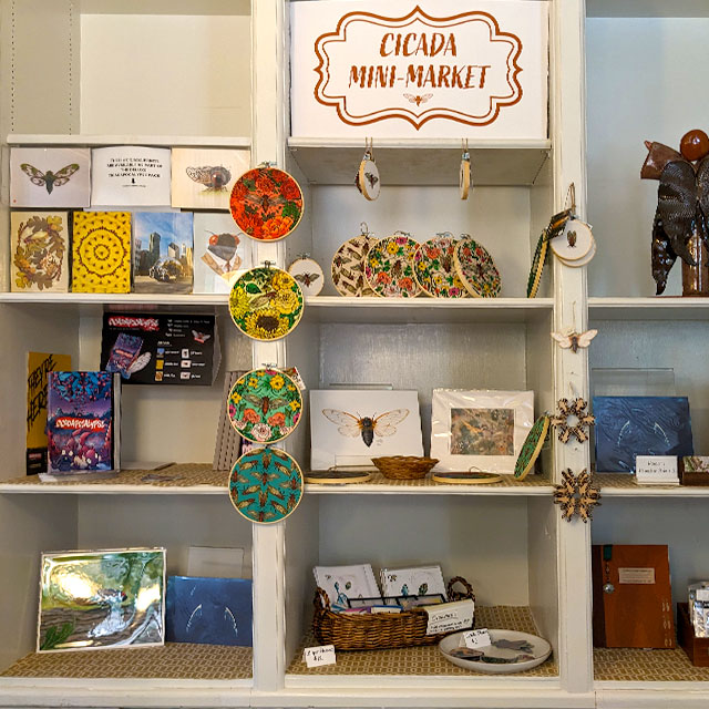 Cicadapocalypse on display at the Cicada Mini Market in the Brushwood Center in Ryerson Woods