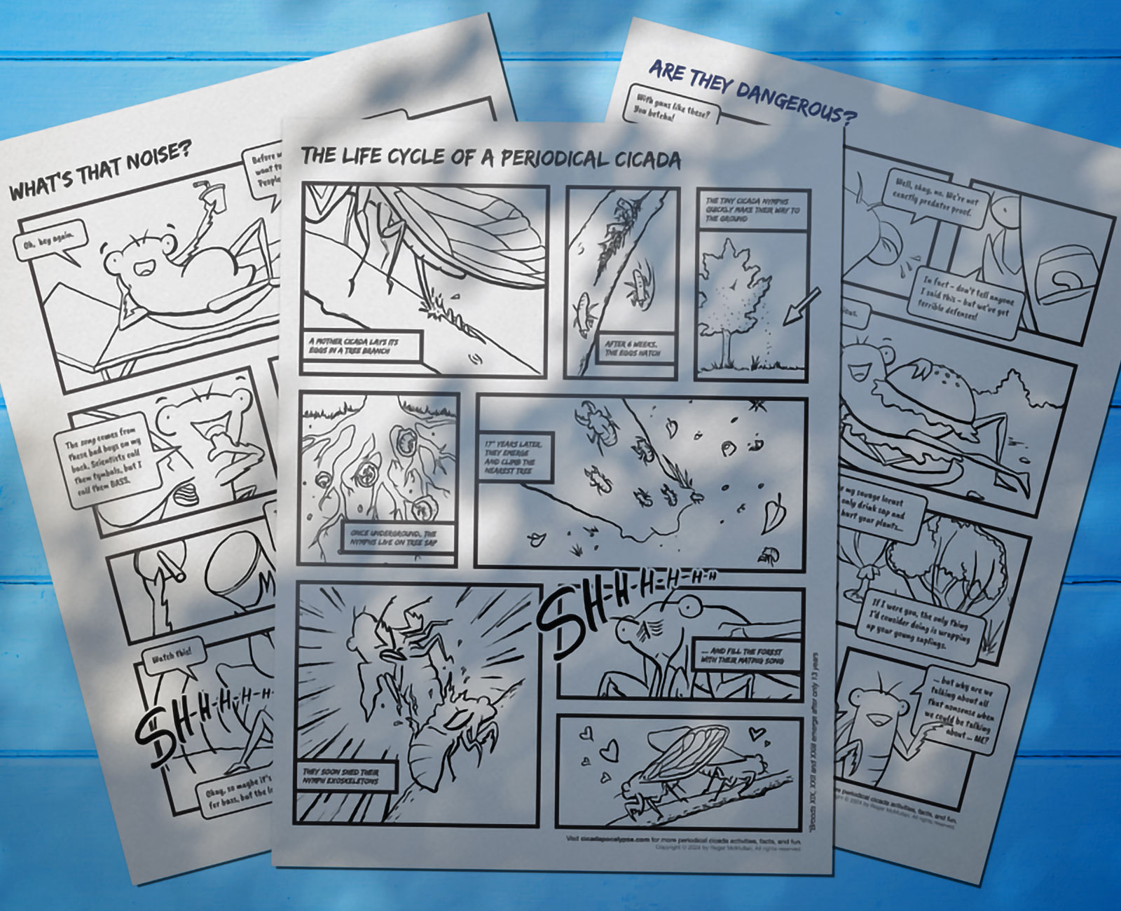 A photo of 3 comic coloring pages that explain fun facts about periodical cicadas