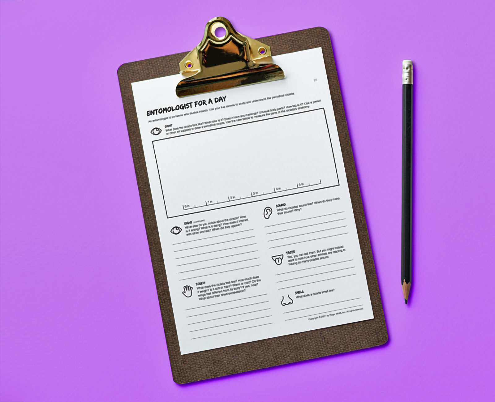 A photo of a clipboard with a worksheet on it. A pencil sits to the side.