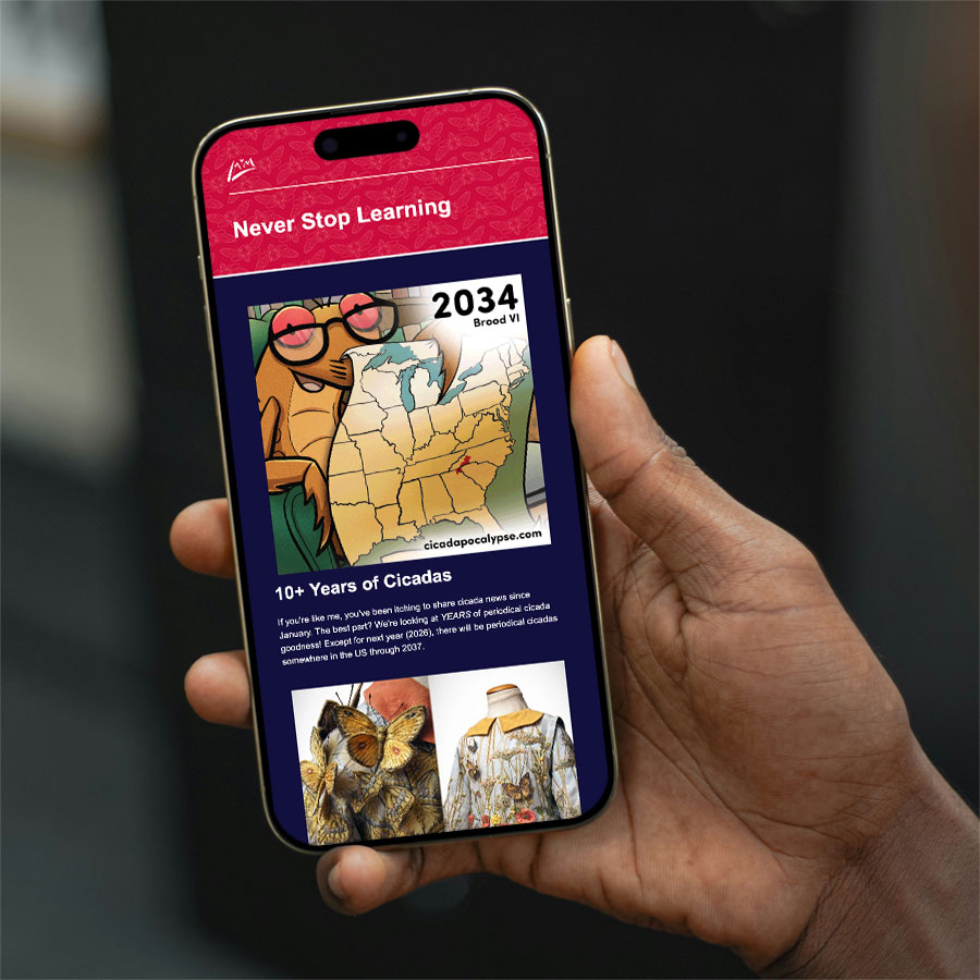 A hand holding a phone that displays the Never Stop Learning newsletter. The newsletter reads "18+ Years of Cicadas" and has a cicada nymph holding a map.