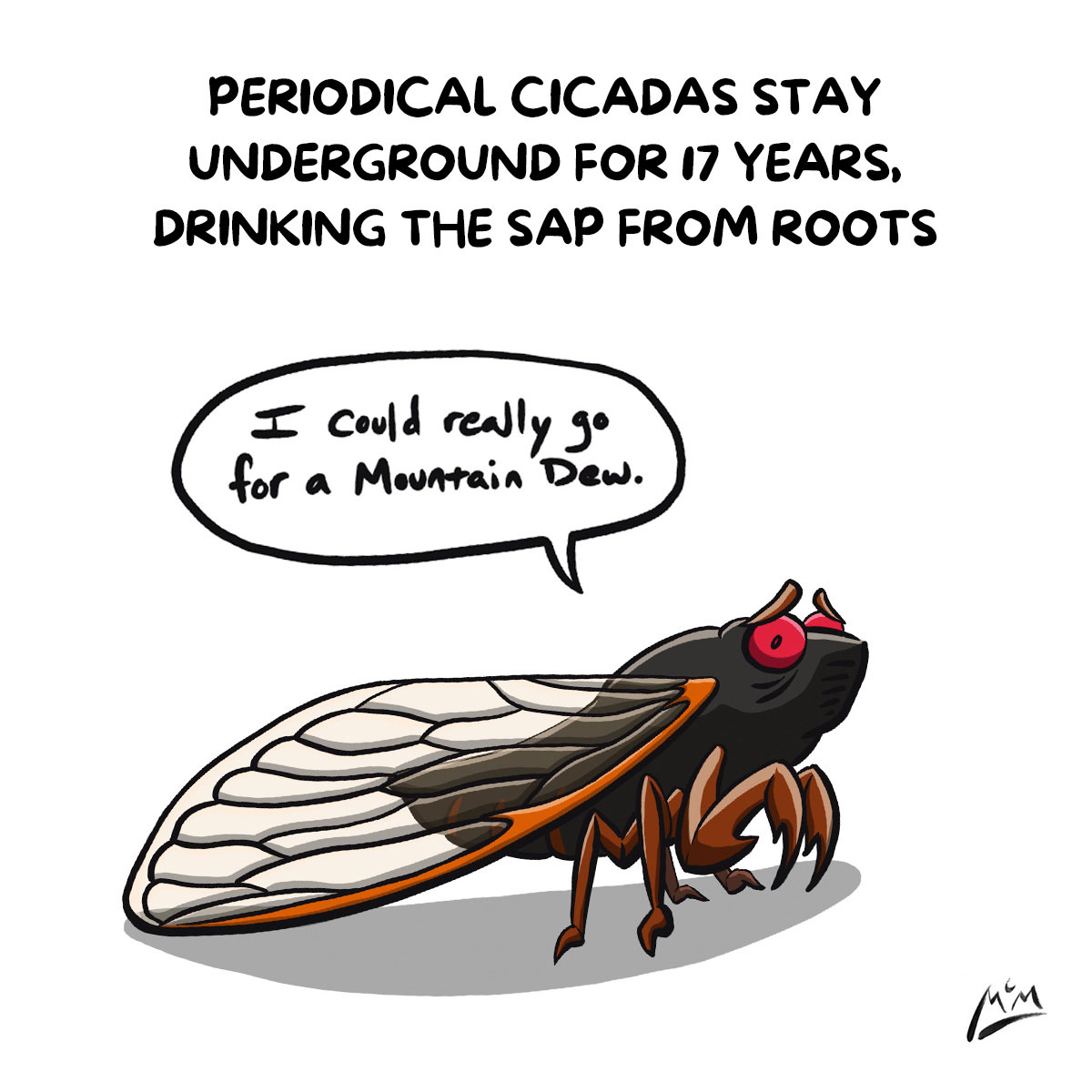 a sad periodical cicada says "I could really go for some Mountain Dew"
